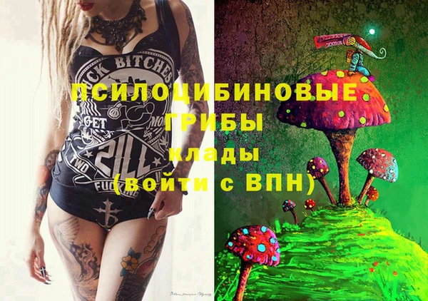 дмт Ладушкин